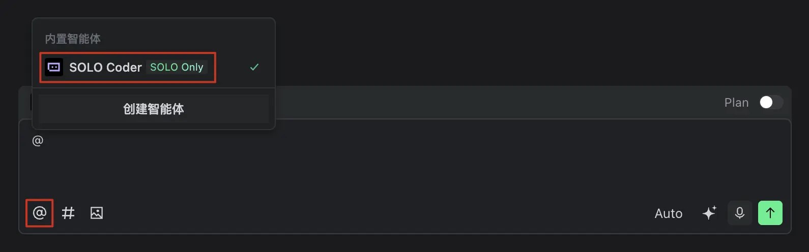 SOLO Coder